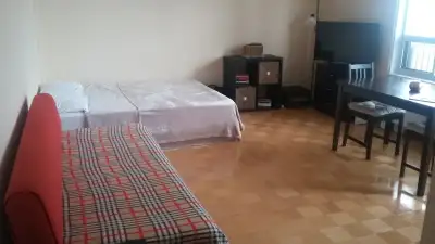 A bright, spacious, Independent furnished bachelor/apartment (not a basement) for rent at St. Clair...