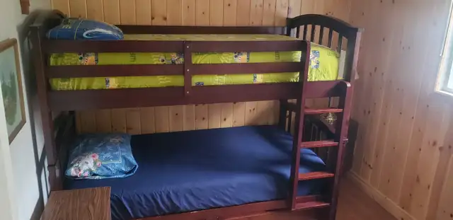 All seasons 4 bedrooms cottage on Balsam lake in Ontario in Canada - Image 6