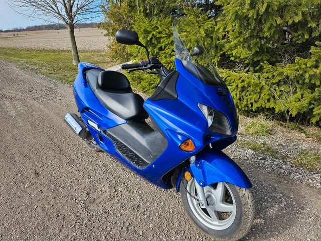 Honda Reflex NSS250  in Scooters & Pocket Bikes in Chatham-Kent