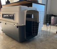 Large dog crate for sale