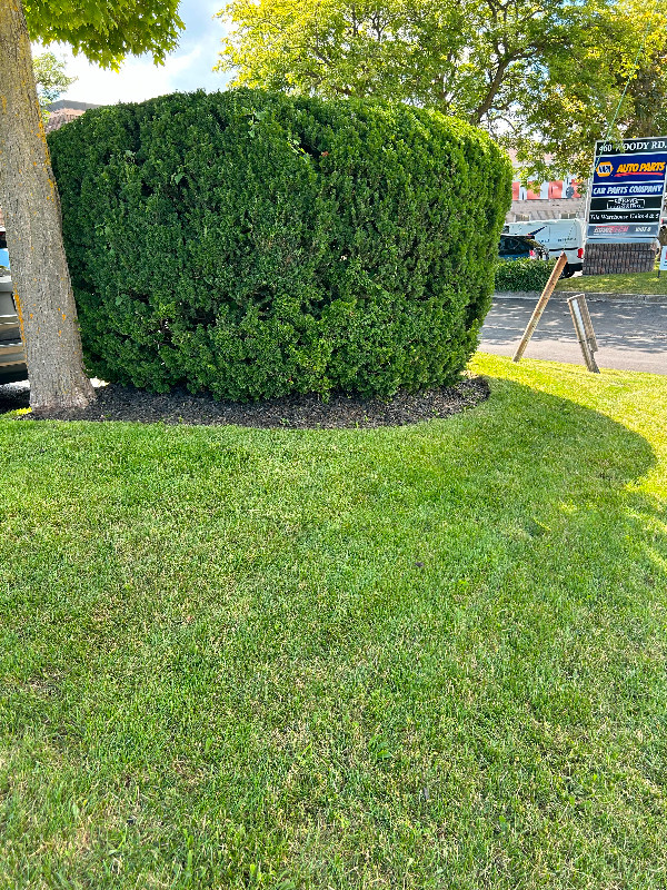 Landscaping services - Mississauga / Peel Region in Lawn, Tree Maintenance & Eavestrough in Mississauga / Peel Region - Image 3