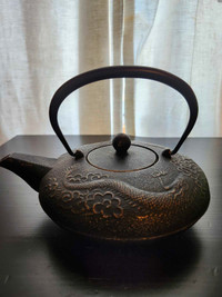 Cast iron Teavana teapot