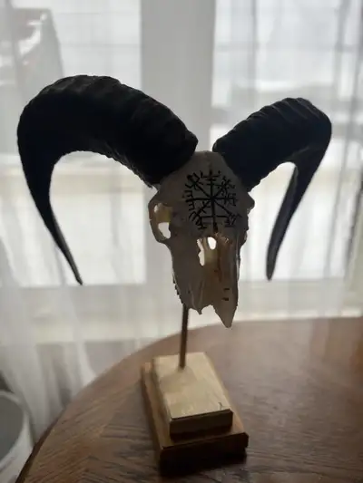 vrai crane, View more