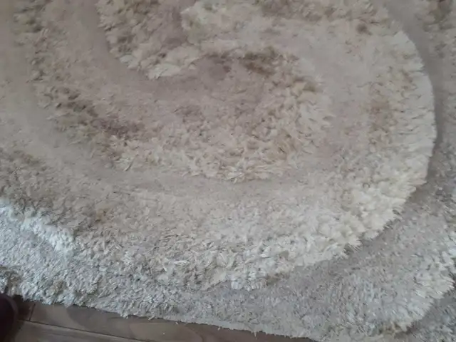 area  carpet rug in Rugs, Carpets & Runners in Ottawa - Image 5