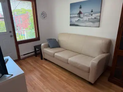 3 1/2 Rosemont, tout meublé, chauffé, éclairé, internet inclus.