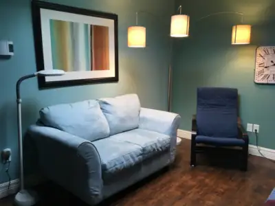 Cat-friendly, fully furnished Turnkey Downtown Water St apartment. ALL UTILITIES INCLUDED. Including...