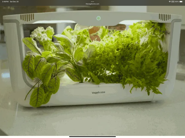 Vegehome The Oasis Smart Garden in Plants, Fertilizer & Soil in City of Montréal - Image 4