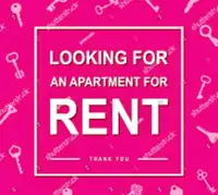 Mom looking for a 3 or 4 bedroom apartment immediately 