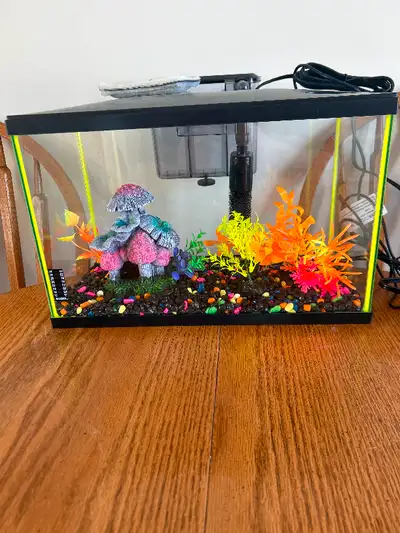 I have a 5 gallon glow fish tank complete set up ready to go. You just need filters and fish. I boug...