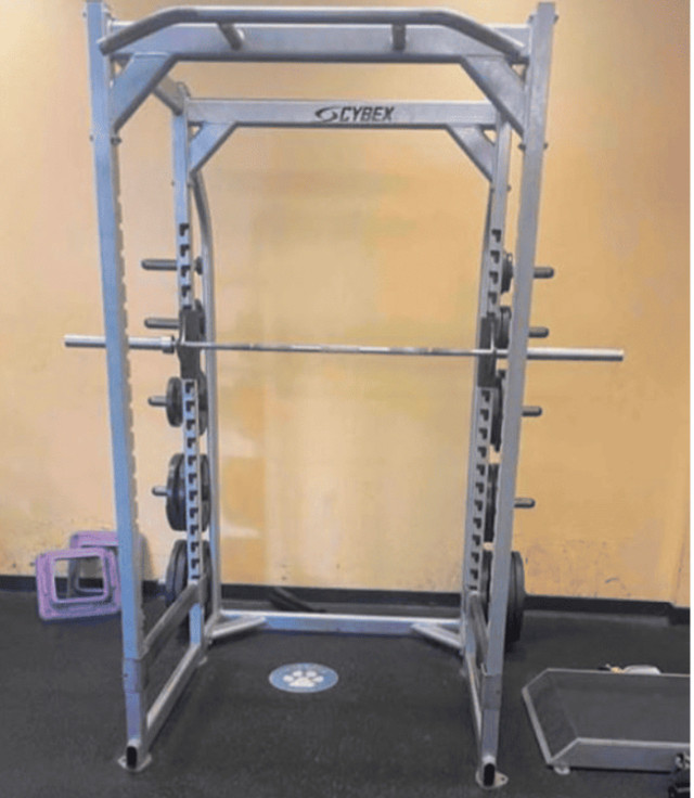 Cybex Power rack w/ iron grip barbell in Exercise Equipment in Mississauga / Peel Region - Image 2
