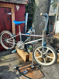 Old school BMX