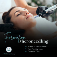 Formation cours microneedling 850$