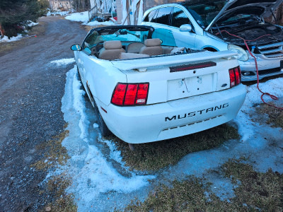 Mustang  convertible