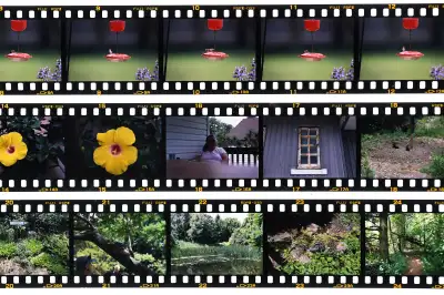 Fujichrome Film Provia, View more