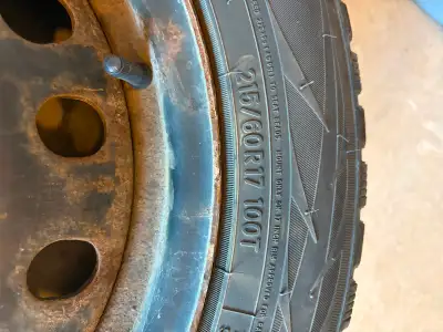 Four Toyo winter tires on rims. I had these tires on a 2020 Tuscon for four years. I only had them o...