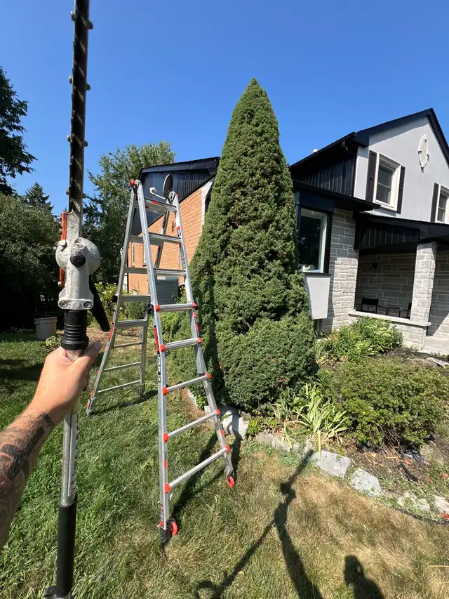 Fall Clean ups64519979472129121