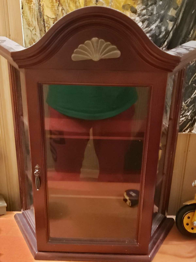 Display Cabinet For Collectibles  in Hutches & Display Cabinets in London