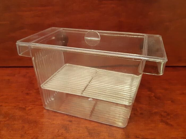 FISH BREEDING BOX - AQUARIUM in Fish for Rehoming in Calgary