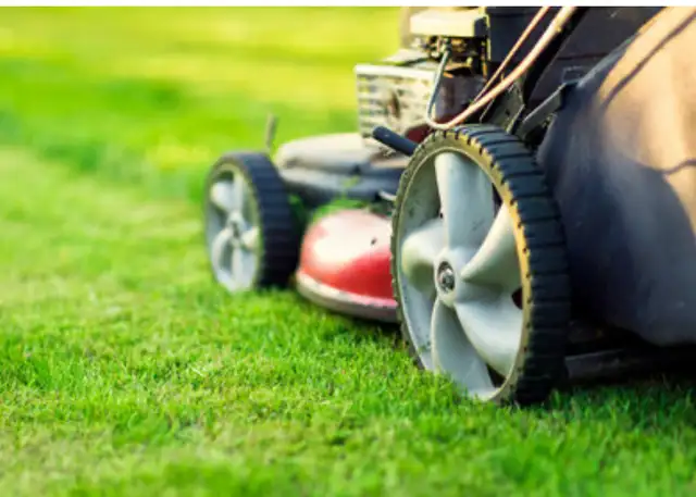 Starting $19 Grass Cutting Same Day Visit62863734795907121