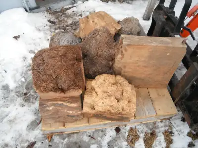 Exotic wood lumber, bowl blanks, charcuterie boards, small table tops, cookies, burls. Rosewood, bub...