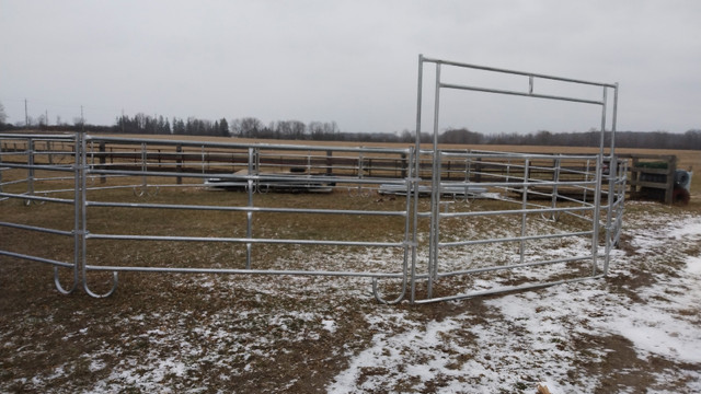 Equestrian round pen in Accessories in Peterborough - Image 3