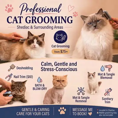 39 ads for cat in Pets in Moncton | Kijiji Marketplaces