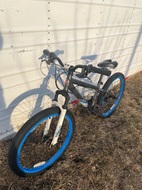 Schwinn Junior Fat Bike