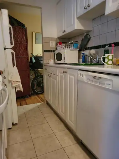1br - 1 Large Private Furnished Bedroom in Davie Village (West E
