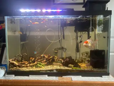 aquarium package whole set (emergency purposes), View more