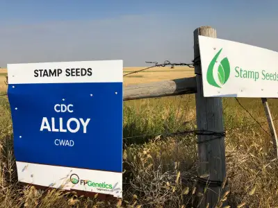 Cert -  CDC Alloy Durum Seed, View more
