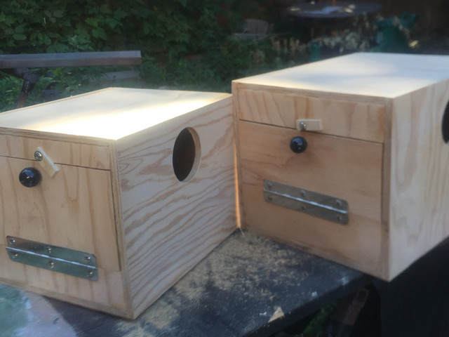 Custom nest boxes in Birds for Rehoming in Oshawa / Durham Region - Image 4