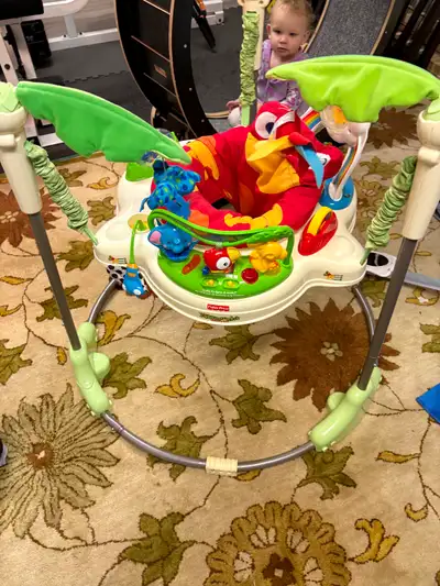 Fisher-Price Jumperoo, View more