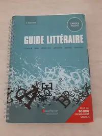 Guide littéraire, C. Pilote, analyse, plan, rédaction