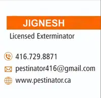 Pest control  for Mice,Cockroach,Ants,Wasps CALL: 416-729-8871