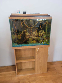35 gallon tank with accessories