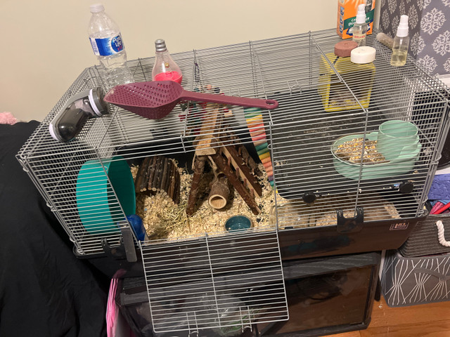 Hamster large cage  in Small Animals for Rehoming in Markham / York Region