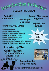 Introduction To Horses Program