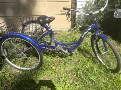 adult tricycle bike, View more