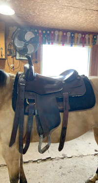 Western saddle. 