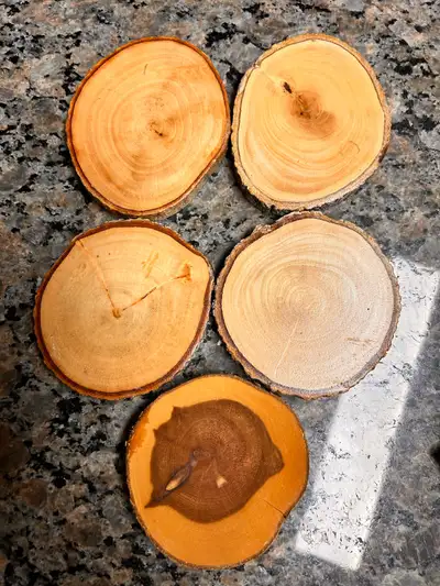 Elevate your space with these rustic wood coasters, perfect for adding a touch of nature to your cof...