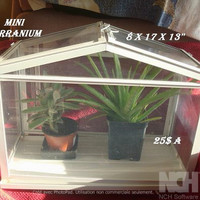 Mini terrarium