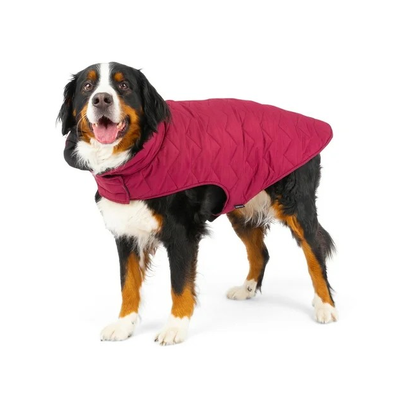 DOG COAT/JACKET 3XL, NEW, View more