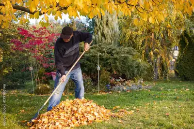 Outdoor Fall Maitenance Worker, View more