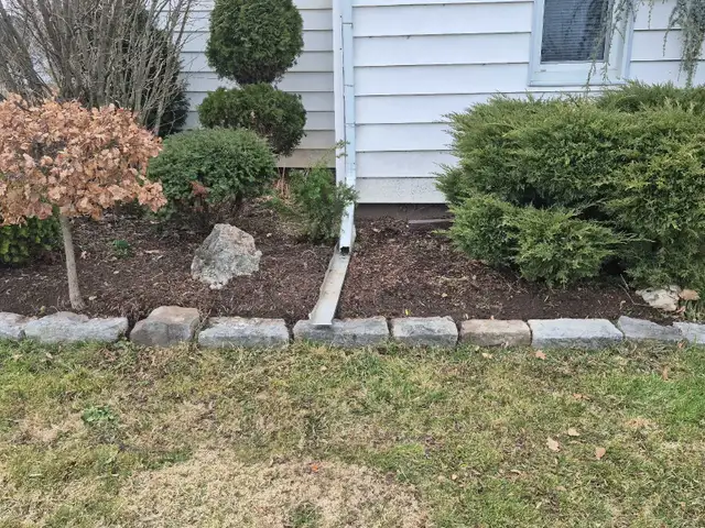 spring yard clean ups426574696552212481