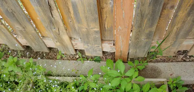 CONCRETE slabs for  walk way, CONCRETE PAVERS in Other in Mississauga / Peel Region - Image 5