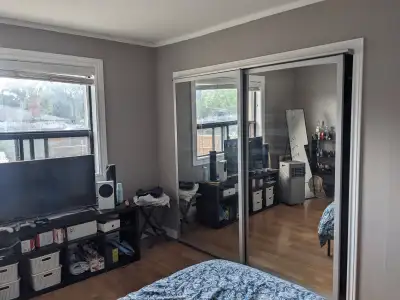 Room + Office Space Available in Cozy 3-Bedroom Apartment on Sca
