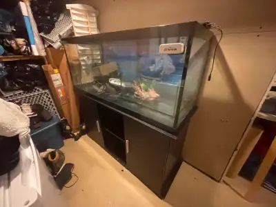 Fish Tank with Stand – Approx. 70-80 Gallons – $250, View more