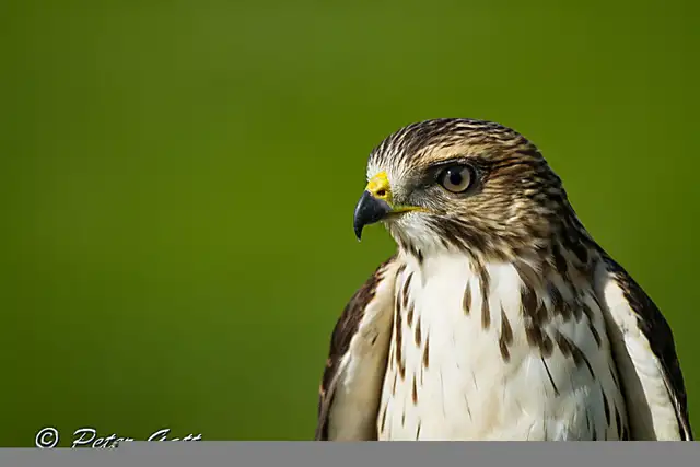 LIVE Interactive Photography Courses (Online)64551245051650124