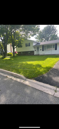 Commercial and residential lawn mowing 