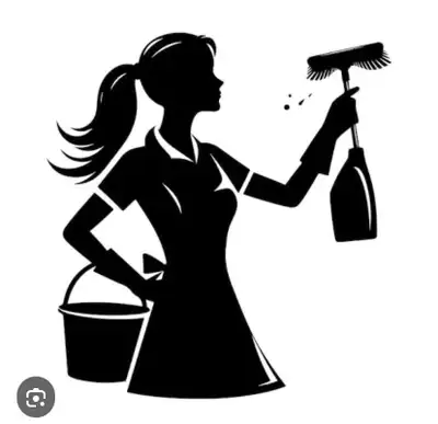 Professional Cleaner, one opening Bi-weekly available , View more